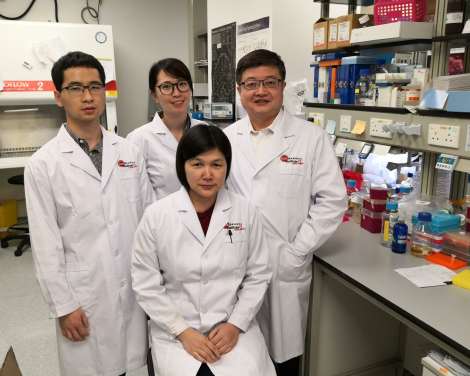 The research team led by scientists at AIDS Institute and Department of Microbiology, HKUMed (back row, from left): Mr Fang Jun, PhD student; Miss Maggie Kwok, Research Assistant; Professor Zhiwei Chen, Director of the AIDS Institute and Professor of Department of Microbiology; (front row) Dr Liu Li, Research Assistant Professor.